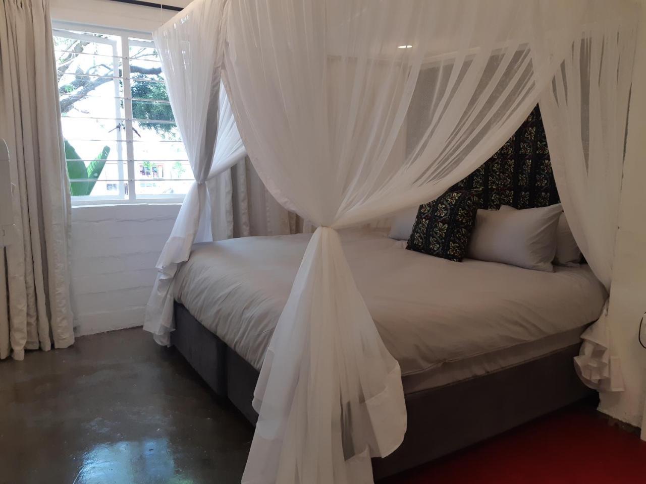 Hornbill House Self Catering Accommodation Hermanus Exteriér fotografie